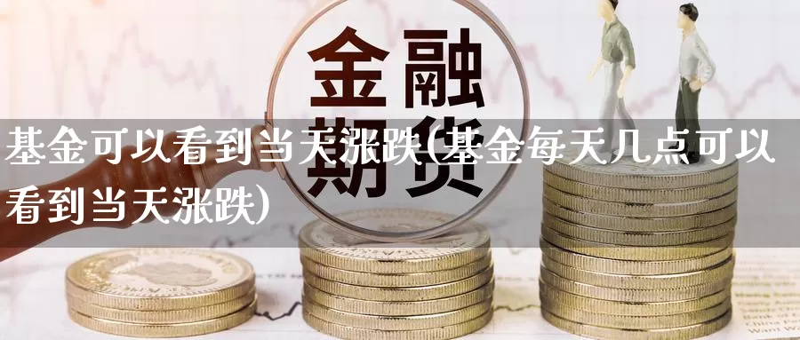 基金可以看到当天涨跌(基金每天几点可以看到当天涨跌)_https://www.baokan.net_国际期货_第1张