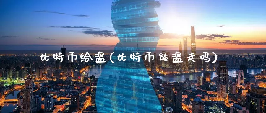 比特币给盗(比特币能盗走吗)_https://www.baokan.net_币圈行情_第1张