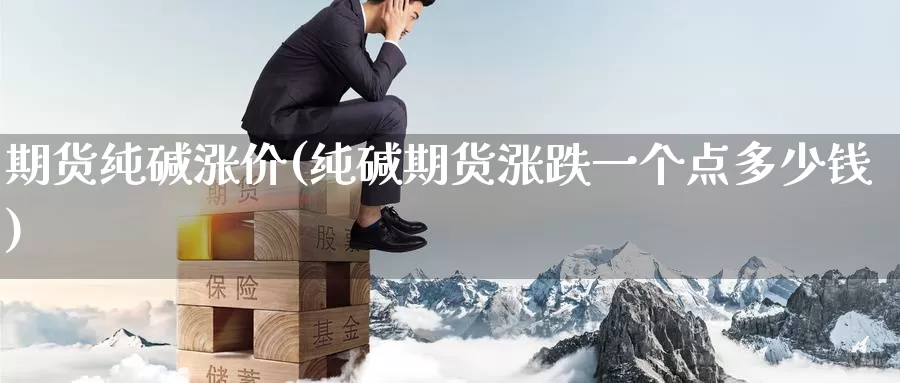 期货纯碱涨价(纯碱期货涨跌一个点多少钱)_国际期货_第1张_宝勘金融网 期货纯碱涨价(纯碱期货涨跌一个点多少钱)_https://www.baokan.net_国际期货_第1张