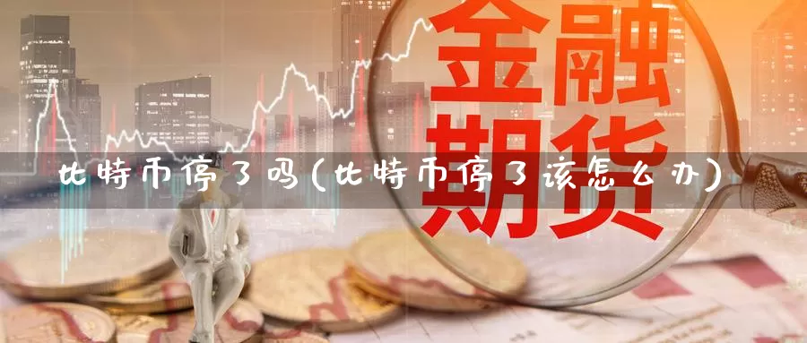 比特币停了吗(比特币停了该怎么办)_https://www.baokan.net_币圈行情_第1张