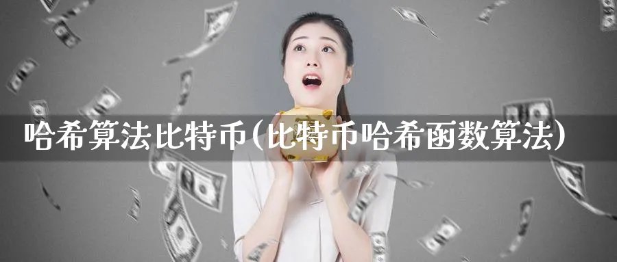 哈希算法比特币(比特币哈希函数算法)_https://www.baokan.net_币圈行情_第1张