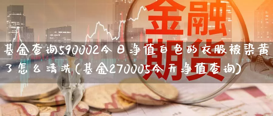 基金查询590002今日净值白色的衣服被染黄了怎么清洗(基金270005今天净值查询)_https://www.baokan.net_原油期货_第1张