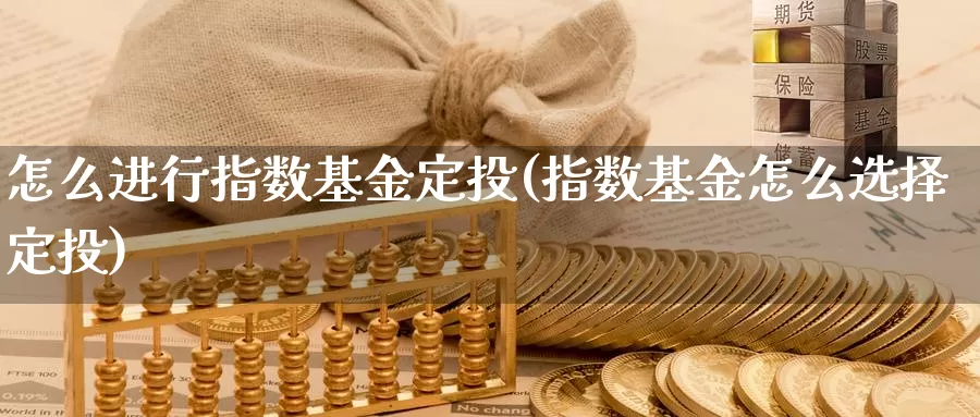 怎么进行指数基金定投(指数基金怎么选择定投)_https://www.baokan.net_期货公司_第1张