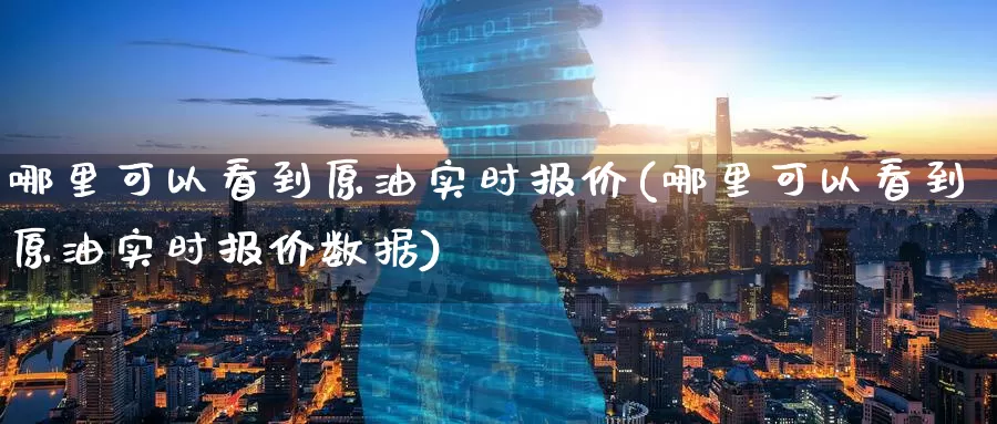哪里可以看到原油实时报价(哪里可以看到原油实时报价数据)_https://www.baokan.net_期货百科_第1张