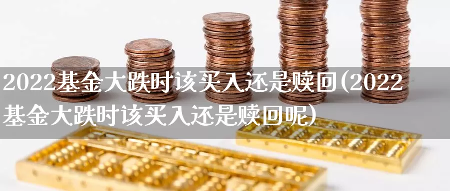 2022基金大跌时该买入还是赎回(2022基金大跌时该买入还是赎回呢)_恒生指数_第1张_宝勘金融网 2022基金大跌时该买入还是赎回(2022基金大跌时该买入还是赎回呢)_https://www.baokan.net_恒生指数_第1张