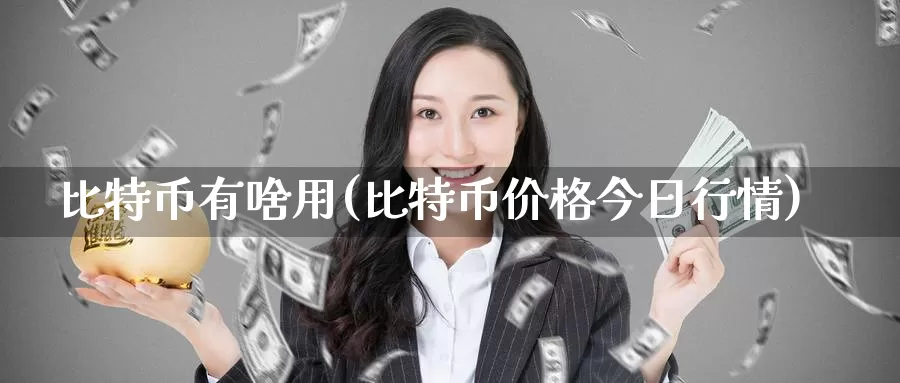 比特币有啥用(比特币价格今日行情)_https://www.baokan.net_币圈行情_第1张