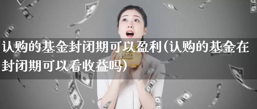 认购的基金封闭期可以盈利(认购的基金在封闭期可以看收益吗)_期货公司_第1张_宝勘金融网 认购的基金封闭期可以盈利(认购的基金在封闭期可以看收益吗)_https://www.baokan.net_期货公司_第1张