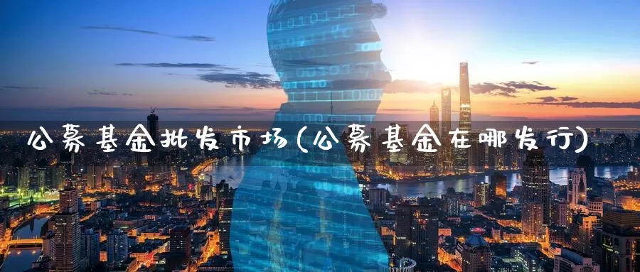 公募基金批发市场(公募基金在哪发行)_https://www.baokan.net_恒生指数_第1张