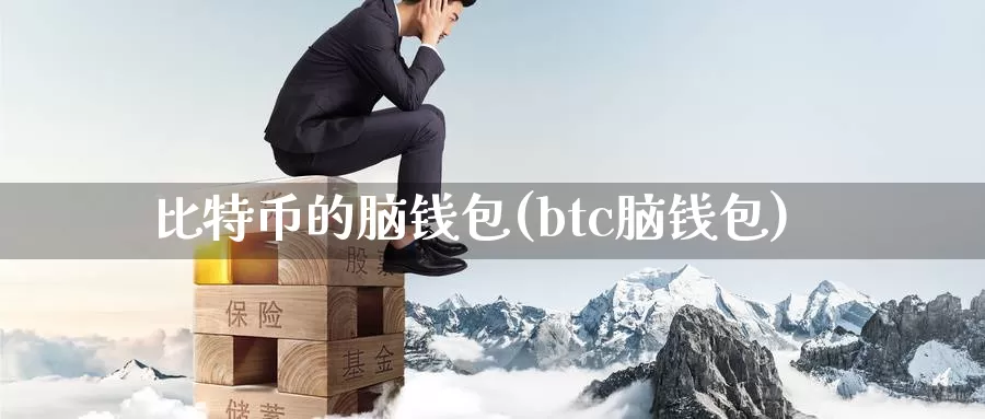 比特币的脑钱包(btc脑钱包)_https://www.baokan.net_币圈行情_第1张