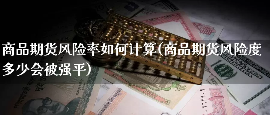 商品期货风险率如何计算(商品期货风险度多少会被强平)_https://www.baokan.net_恒指期货_第1张