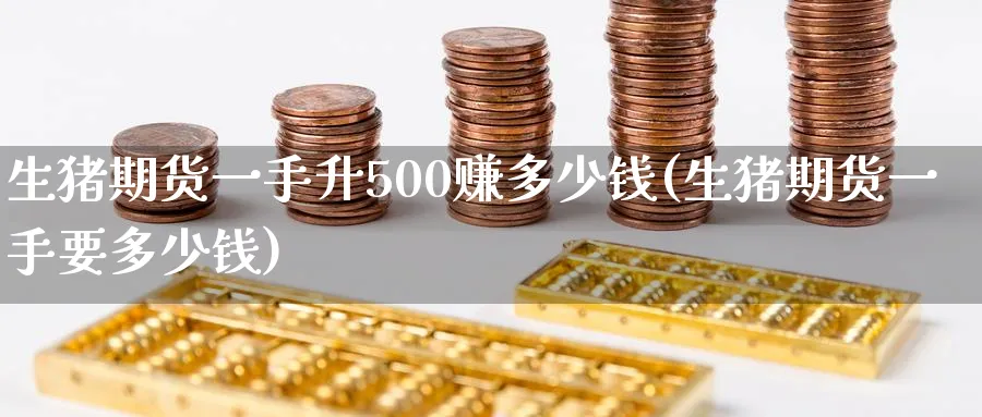 生猪期货一手升500赚多少钱(生猪期货一手要多少钱)_https://www.baokan.net_期货培训_第1张