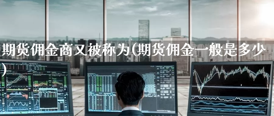 期货佣金商又被称为(期货佣金一般是多少)_https://www.baokan.net_期货技术_第1张