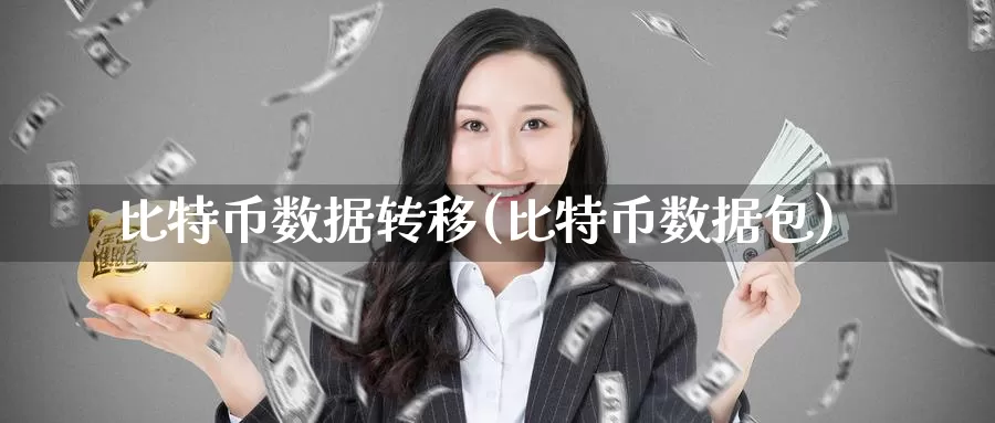 比特币数据转移(比特币数据包)_https://www.baokan.net_币圈行情_第1张