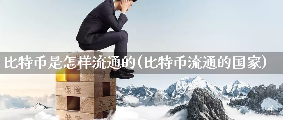 比特币是怎样流通的(比特币流通的国家)_https://www.baokan.net_币圈行情_第1张