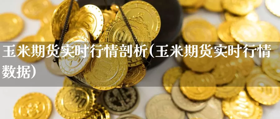 玉米期货实时行情剖析(玉米期货实时行情数据)_https://www.baokan.net_期货喊单_第1张