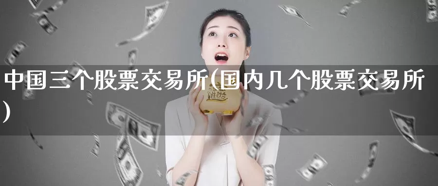 中国三个股票交易所(国内几个股票交易所)_https://www.baokan.net_期货软件_第1张