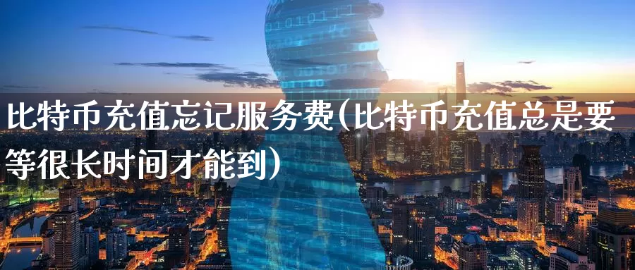 比特币充值忘记服务费(比特币充值总是要等很长时间才能到)_https://www.baokan.net_币圈行情_第1张