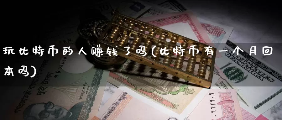 玩比特币的人赚钱了吗(比特币有一个月回本吗)_https://www.baokan.net_币圈行情_第1张