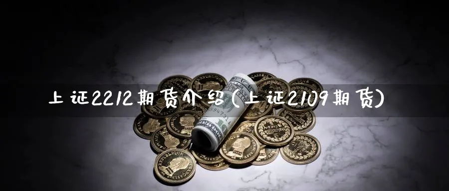 上证2212期货介绍(上证2109期货)_https://www.baokan.net_纳指期货_第1张