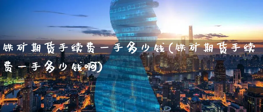 铁矿期货手续费一手多少钱(铁矿期货手续费一手多少钱啊)_https://www.baokan.net_期货培训_第1张
