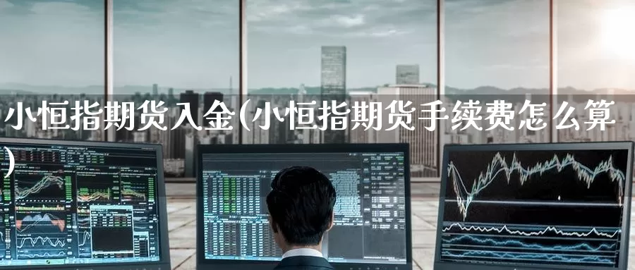 小恒指期货入金(小恒指期货手续费怎么算)_https://www.baokan.net_期货开户_第1张