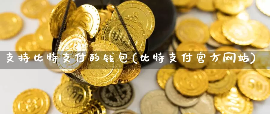 支持比特支付的钱包(比特支付官方网站)_https://www.baokan.net_币圈行情_第1张