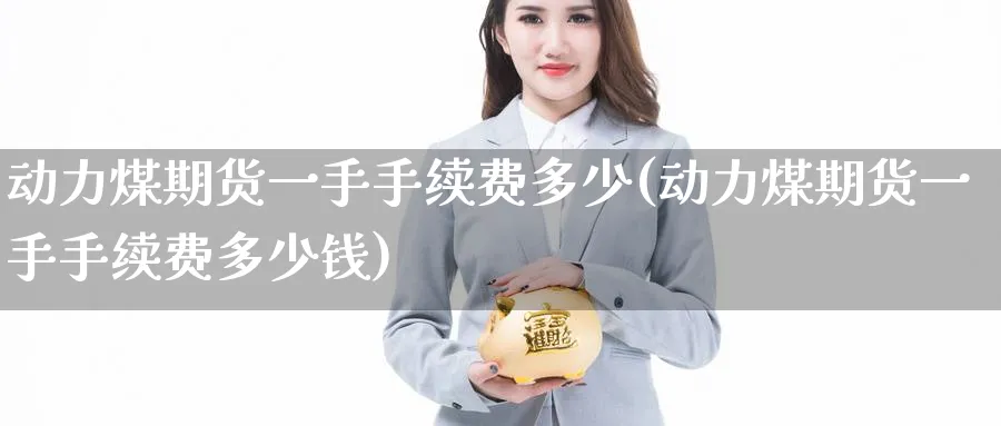 动力煤期货一手手续费多少(动力煤期货一手手续费多少钱)_https://www.baokan.net_期货百科_第1张