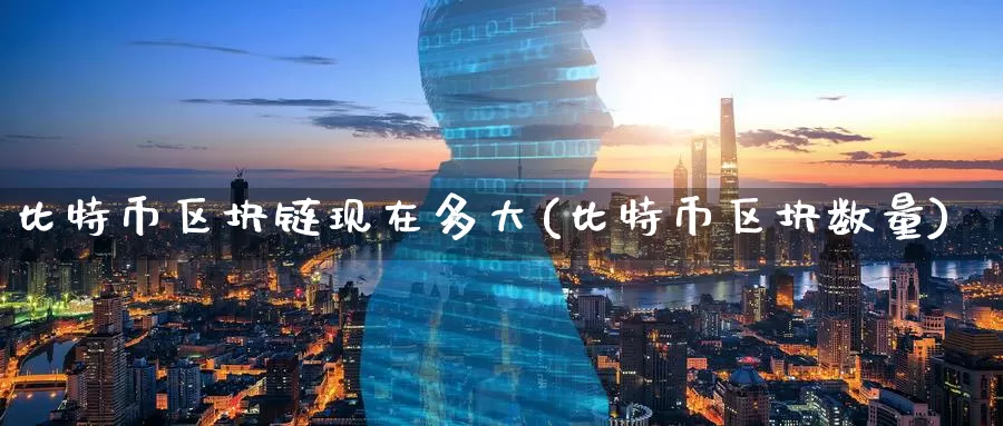 比特币区块链现在多大(比特币区块数量)_https://www.baokan.net_币圈行情_第1张