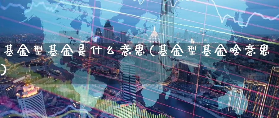 基金型基金是什么意思(基金型基金啥意思)_国际期货_第1张_宝勘金融网 基金型基金是什么意思(基金型基金啥意思)_https://www.baokan.net_国际期货_第1张