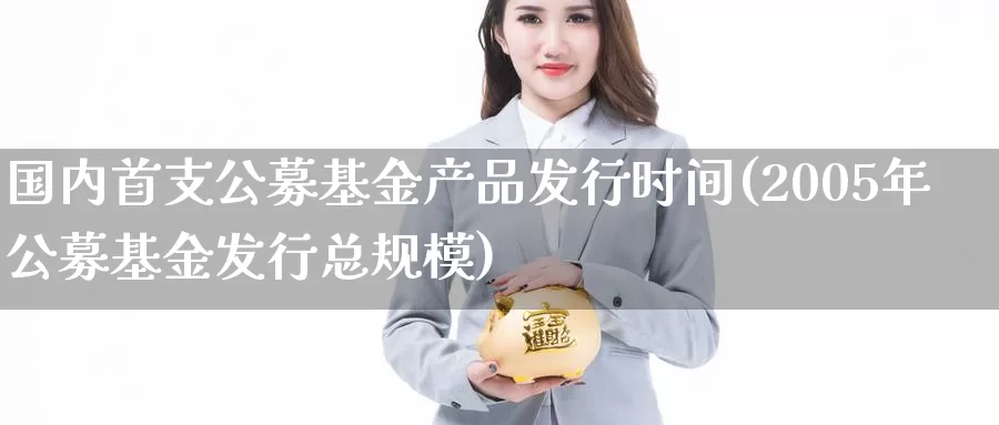 国内首支公募基金产品发行时间(2005年公募基金发行总规模)_https://www.baokan.net_期货开户_第1张