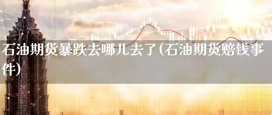 石油期货暴跌去哪儿去了(石油期货赔钱事件)_https://www.baokan.net_期货平台_第1张