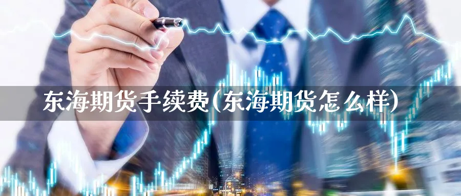 东海期货手续费(东海期货怎么样)_https://www.baokan.net_国际期货_第1张