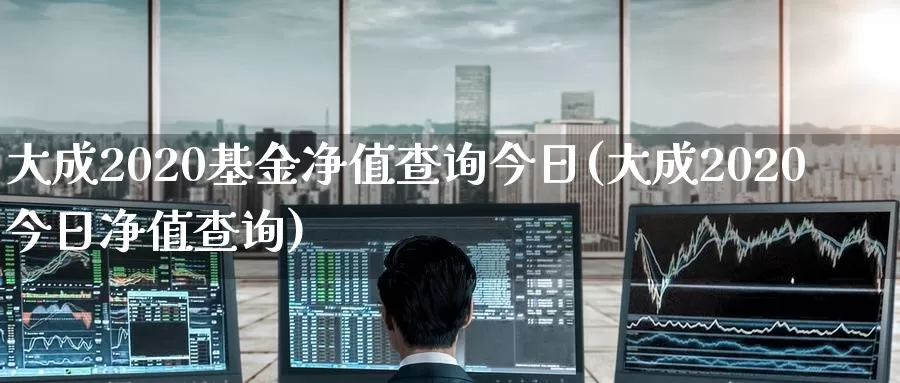 大成2020基金净值查询今日(大成2020今日净值查询)_https://www.baokan.net_恒生指数_第1张