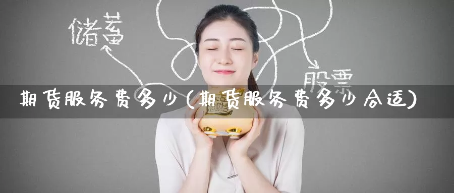 期货服务费多少(期货服务费多少合适)_https://www.baokan.net_期货软件_第1张