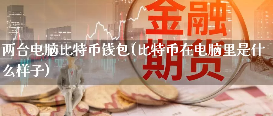 两台电脑比特币钱包(比特币在电脑里是什么样子)_https://www.baokan.net_币圈行情_第1张