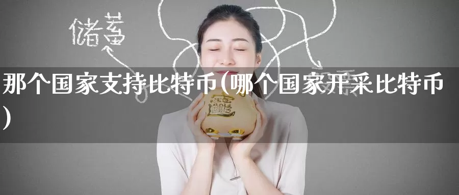 那个国家支持比特币(哪个国家开采比特币)_https://www.baokan.net_币圈行情_第1张