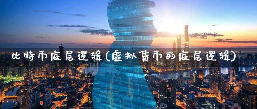 比特币底层逻辑(虚拟货币的底层逻辑)_https://www.baokan.net_期货百科_第1张