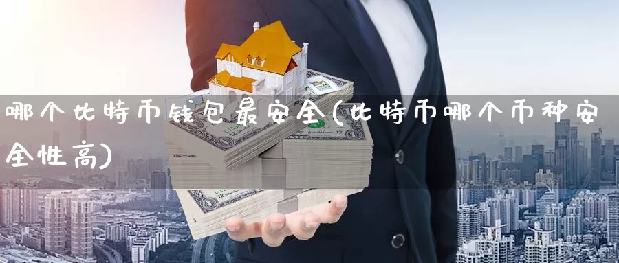 哪个比特币钱包最安全(比特币哪个币种安全性高)_https://www.baokan.net_币圈行情_第1张
