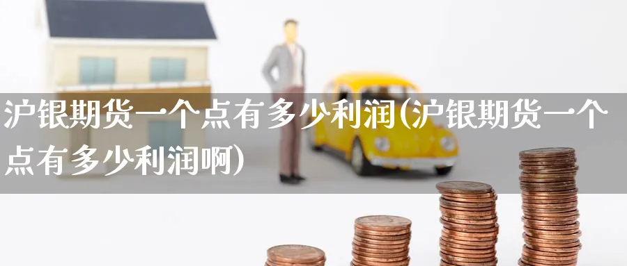 沪银期货一个点有多少利润(沪银期货一个点有多少利润啊)_https://www.baokan.net_期货平台_第1张