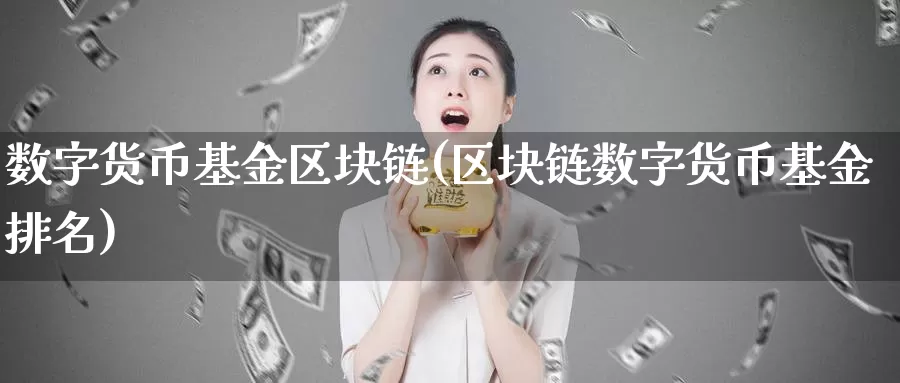 数字货币基金区块链(区块链数字货币基金排名)_https://www.baokan.net_币圈行情_第1张