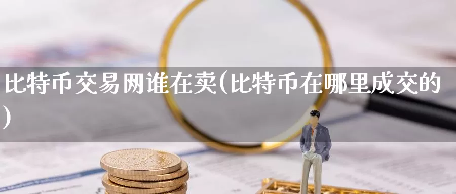 比特币交易网谁在卖(比特币在哪里成交的)_https://www.baokan.net_币圈行情_第1张