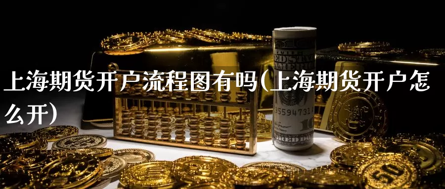 上海期货开户流程图有吗(上海期货开户怎么开)_https://www.baokan.net_纳指期货_第1张