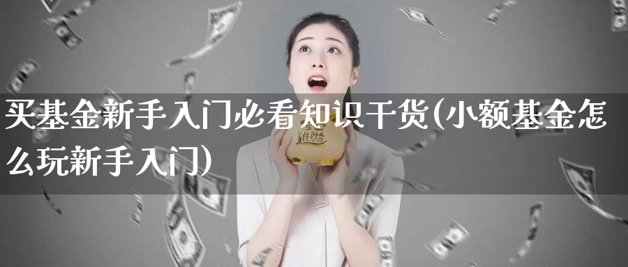 买基金新手入门必看知识干货(小额基金怎么玩新手入门)_https://www.baokan.net_期货入门_第1张