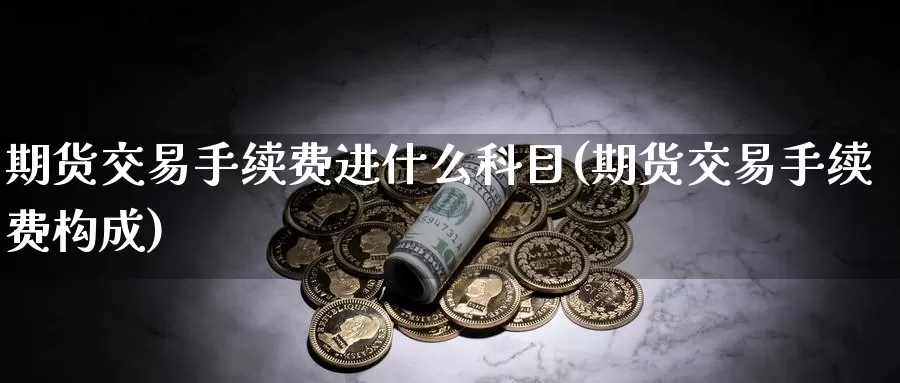 期货交易手续费进什么科目(期货交易手续费构成)_https://www.baokan.net_期货交易_第1张