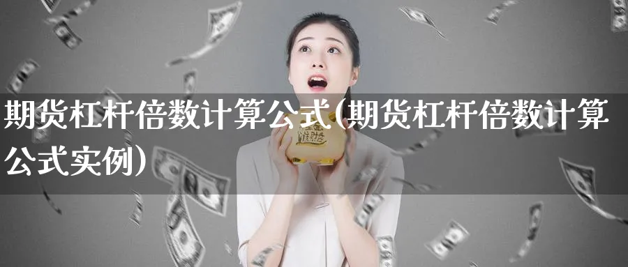 期货杠杆倍数计算公式(期货杠杆倍数计算公式实例)_https://www.baokan.net_期货软件_第1张