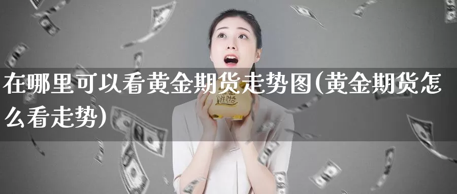 在哪里可以看黄金期货走势图(黄金期货怎么看走势)_https://www.baokan.net_期货喊单_第1张