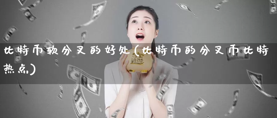 比特币软分叉的好处(比特币的分叉币比特热点)_https://www.baokan.net_币圈行情_第1张