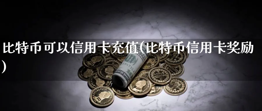 比特币可以信用卡充值(比特币信用卡奖励)_https://www.baokan.net_币圈行情_第1张