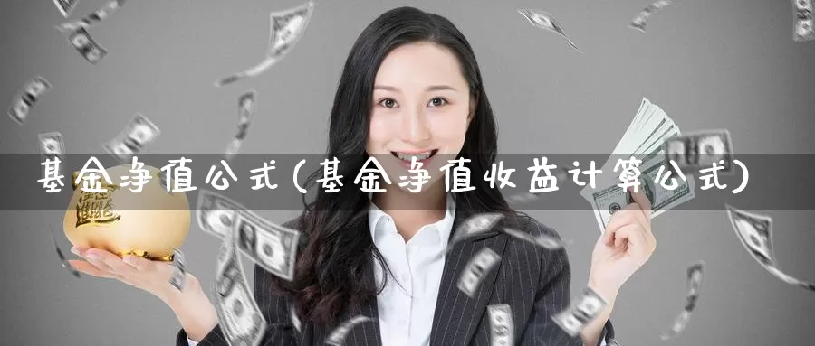 基金净值公式(基金净值收益计算公式)_https://www.baokan.net_纳指期货_第1张