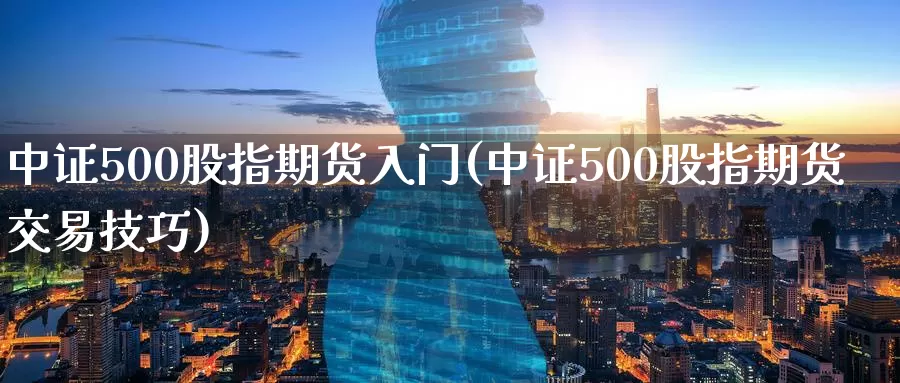 中证500股指期货入门(中证500股指期货交易技巧)_https://www.baokan.net_期货行情_第1张